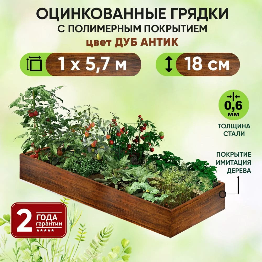 Грядка Дуб Антик (1 х 5,7)