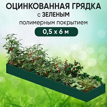 Грядка зеленая (0,5 х 6)